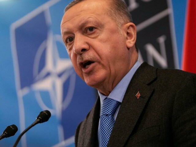 Erdoğan fordert Auslieferung von schwedischer Abgeordneten